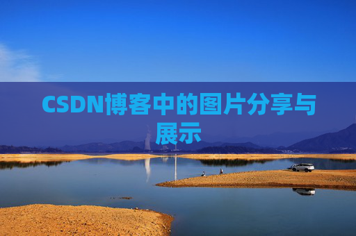 CSDN博客中的图片分享与展示